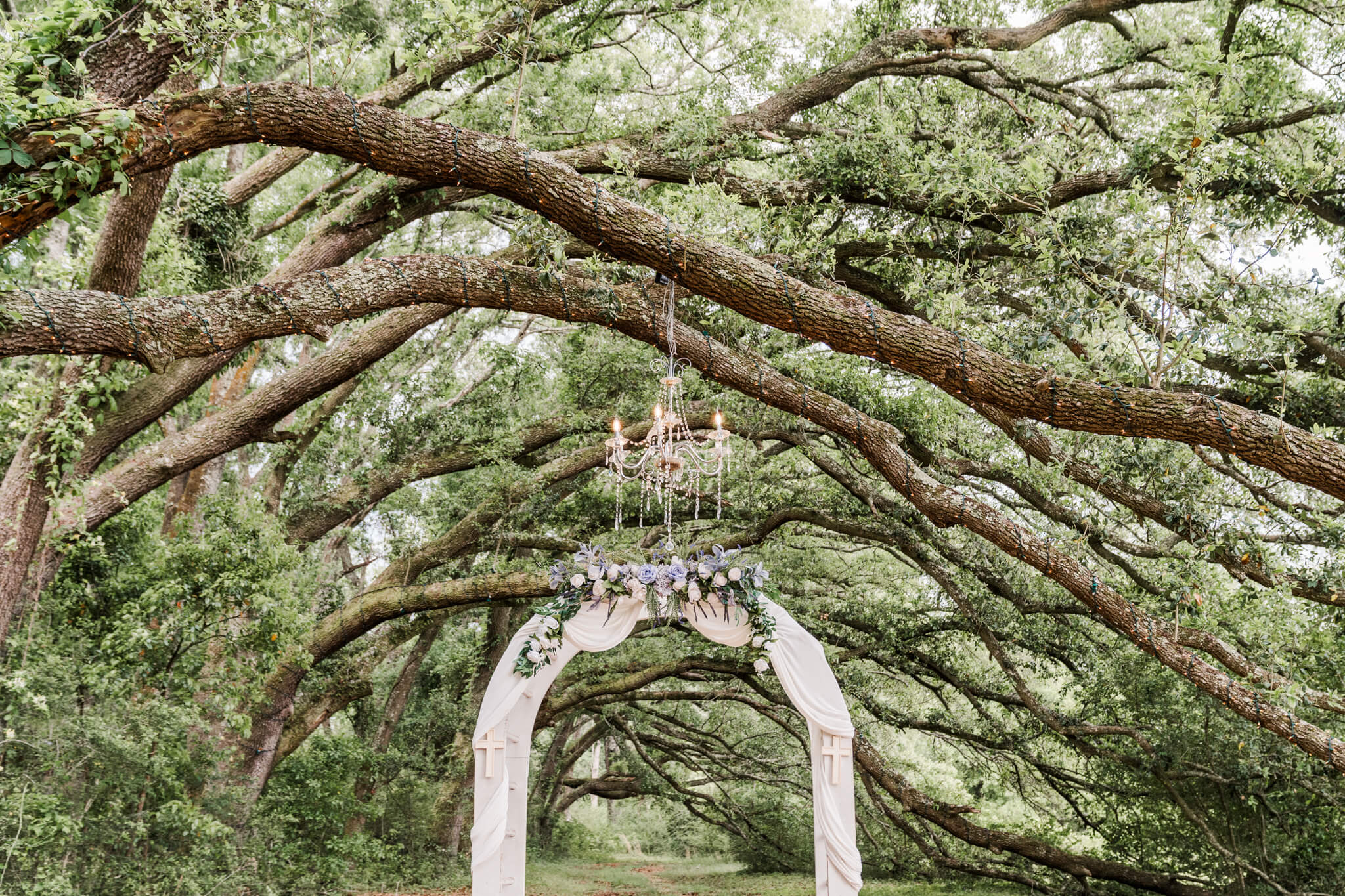 Lavender decorated wedding arch under a chandelier hanging from a canopy of lit oak trees