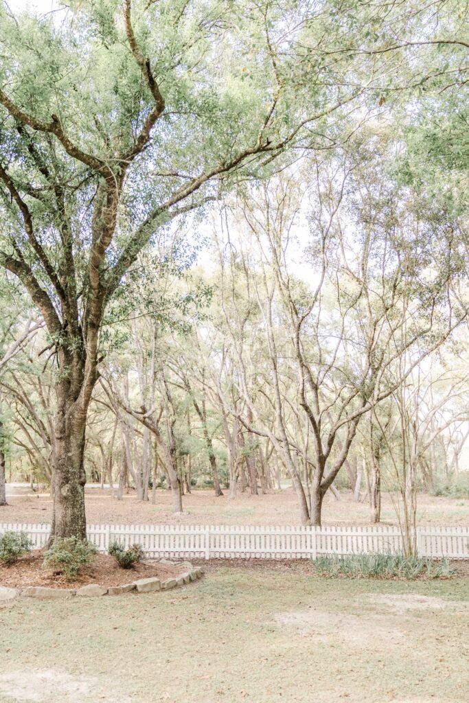 Front yard trees of Cotton Creek Farms wedding venue in Gulf Shores, AL
